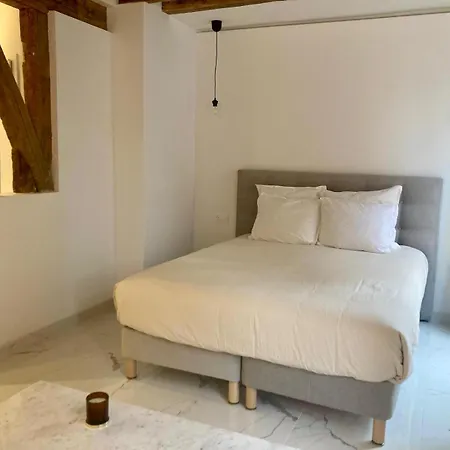 Comfortable Place Des Vosges - Marais * 파리